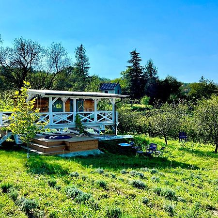 Bohemian Eco Lodge At Lake Balaton Kisapati المظهر الخارجي الصورة