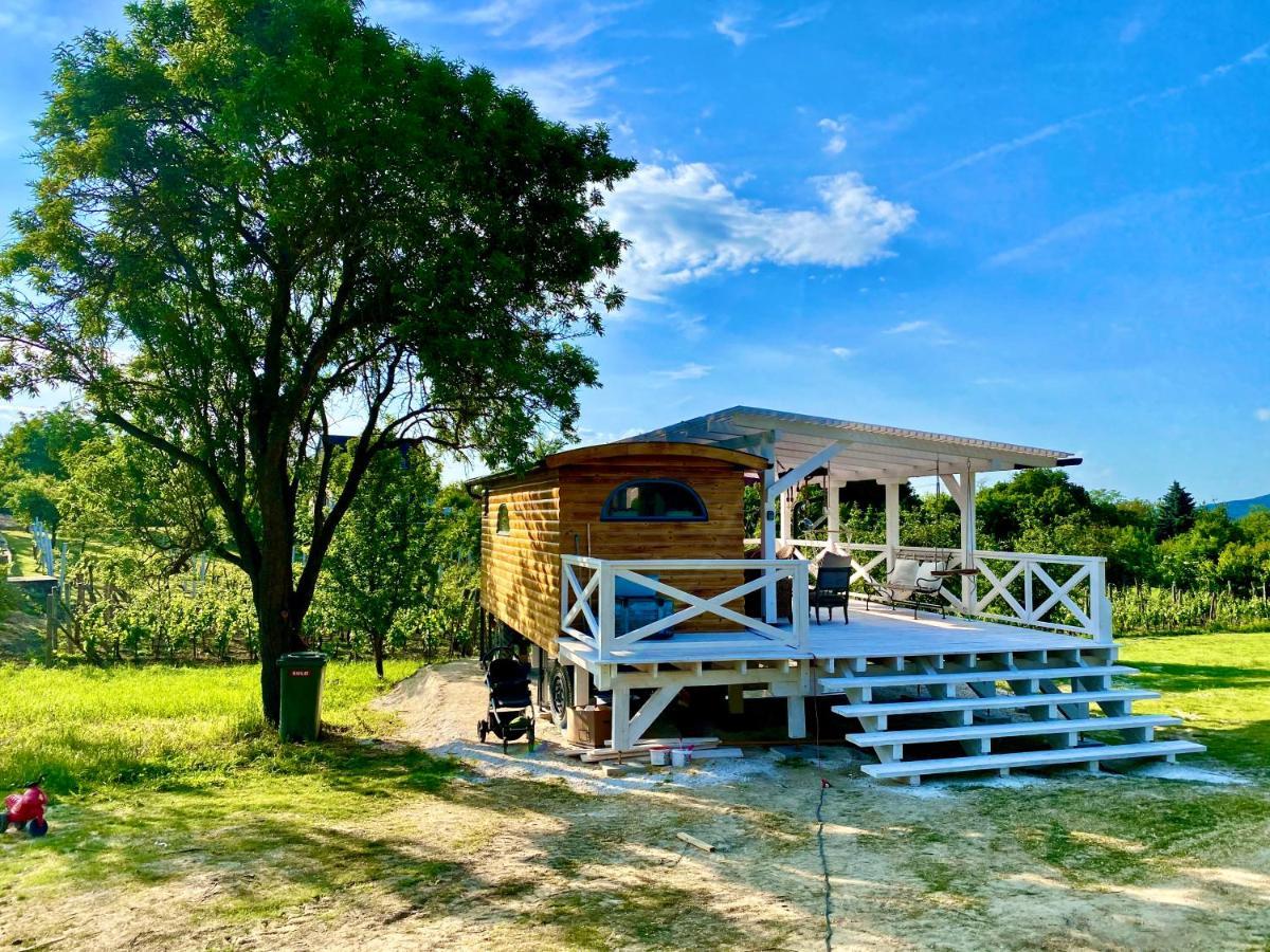 Bohemian Eco Lodge At Lake Balaton Kisapati المظهر الخارجي الصورة