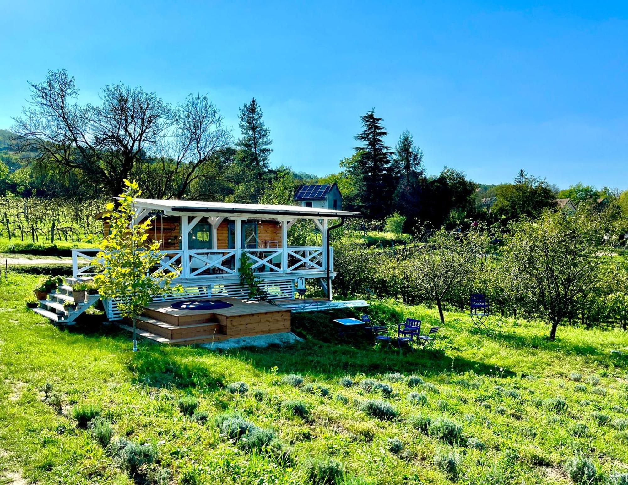 Bohemian Eco Lodge At Lake Balaton Kisapati المظهر الخارجي الصورة